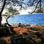 Vacation