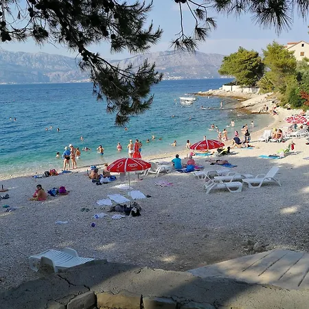 Vacation Апартаменты *